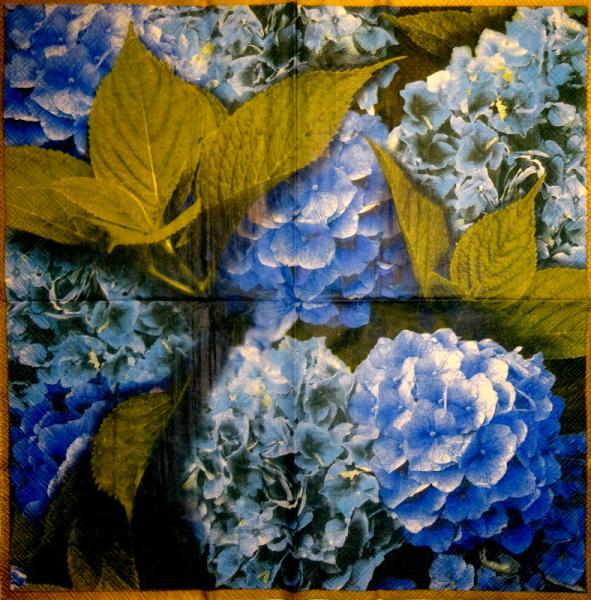 012 Hydrangeas - 3-ply (blue) - The National Trust - Ihr
